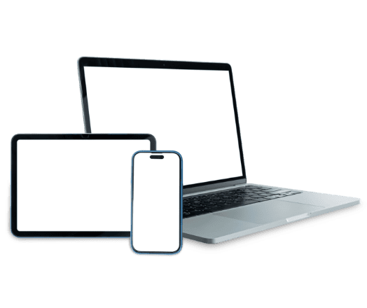 Discover Our Products