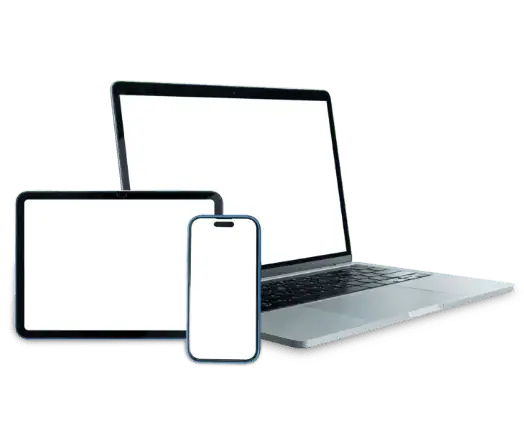 Discover Our Products